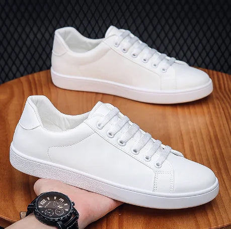 Casual Sneakers and Leather Shoes Collection